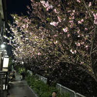 焼鶏あきら 中目黒本店 - 