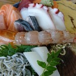 魚春 - 刺身が輝いてる～～♪♪♪♪