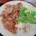 みやこ食堂 - お肉は脂身の少ないものを使用量も問題なし