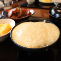 浅草むぎとろ 本店 - 