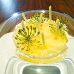 ル スプートニク - 前菜1　フォアグラ　根セロリのジュレ　青リンゴ　フェンネルの花　オリーブオイル