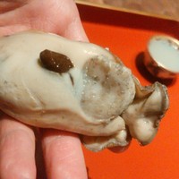 初音鮨 - 本当にうまい牡蠣は限りなくナチュラル