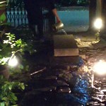 中島町倶楽部 - 雨に濡れたらキレイよね～って話したら、水をかけてくれた(涙)