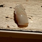 まんてん鮨 - たい