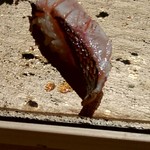 まんてん鮨 - イサキ