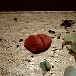 まんてん鮨 - たらこ