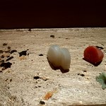 まんてん鮨 - 大根のべったら漬け