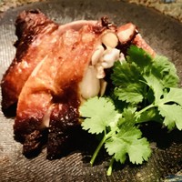 CINA New Modern Chinese - 