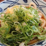 丸亀製麺 - ねぎ♪こんもり