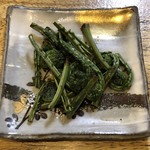 旬ものと日本酒 とみ笑 - こごみの塩炒め