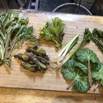 旬ものと日本酒 とみ笑 - 魚沼の山菜