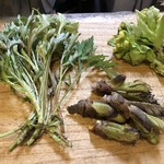 旬ものと日本酒 とみ笑 - 魚沼の山菜