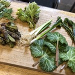 旬ものと日本酒 とみ笑 - 魚沼の山菜