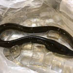 旬ものと日本酒 とみ笑 - 山口の天然鰻