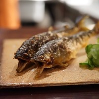 たでの葉 - 