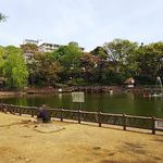 中華ソバ 伊吹 - 