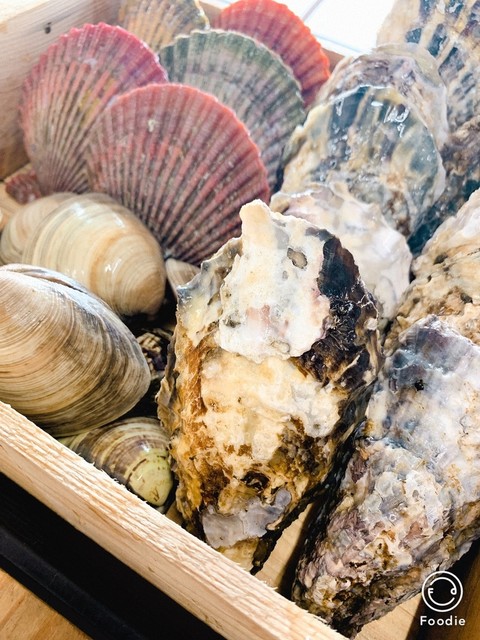 Kaisembabekyutosanokakigoya 土佐 須崎 魚類料理 海鮮料理 食べログ 繁體中文