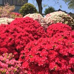 天ぷら 福たろう - 