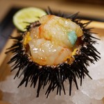 東麻布 天本 - うに牡丹海老