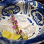 東麻布 天本 - 真子鰈