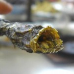 登紀 - 