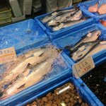 OiOi食堂 - 真マス