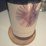 AZUR et MASA UEKI - アダプテーション　プティ・シラー2013