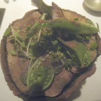 AZUR et MASA UEKI - 山菜