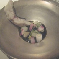 AZUR et MASA UEKI - 石鯛、生海苔、小柱、ロマネスコ