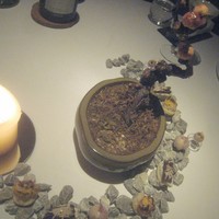 AZUR et MASA UEKI - アミューズ（一口パイの実、タケノコ×4）