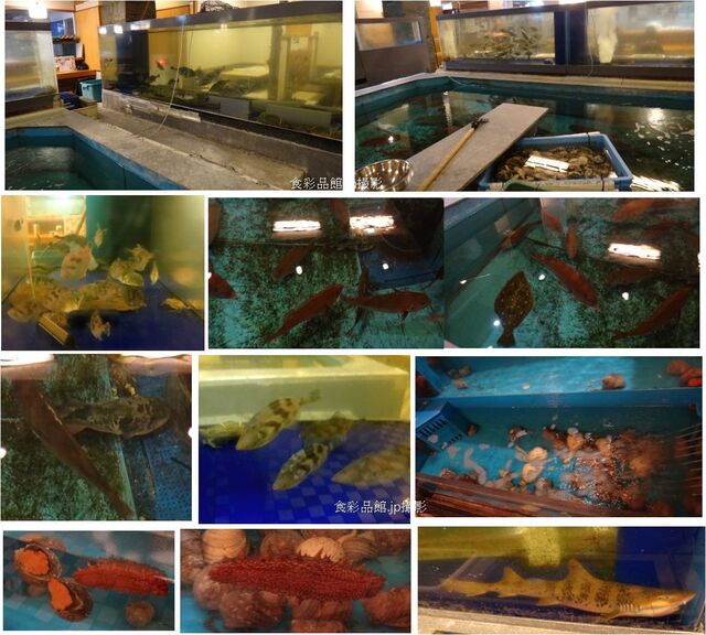 水族館割烹 水族館料理店 で 上刺身盛り 播磨灘産当日水揚げの逸品鮮魚を期待するも生簀活魚の盛り合わせでした 鹿久居荘 兵庫県赤穂市 By Ken1tnk1958 鹿久居荘 赤穂 播州赤穂 魚介料理 海鮮料理 食べログ