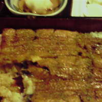 五代目 野田岩 麻布飯倉本店 - 2008121319270000.jpg