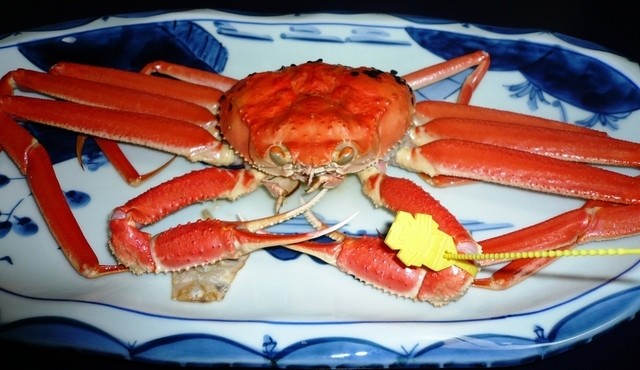 ■越前海月■ 閉店】海月 （かいげつ） - 越前町その他/料理旅館 | 食べログ