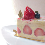 106105615 - フレジエ