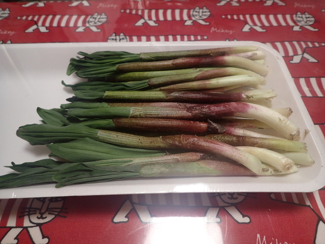 八百吉 - 釧路（その他）の写真