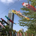 赤坂 渡なべ - 六本木ミッドタウンの鯉のぼり