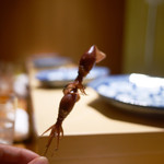 鮨 さいとう - 蛍烏賊