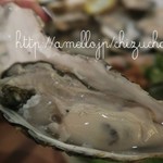 FAST OYSTERS - 