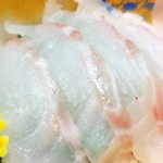 おさしみ本舗 - キジハタ(関東名。関西ではアコウとも呼びます。)