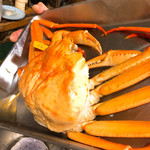 うを徳 - 越前黄金カニ