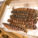 うを徳 - 大分産車海老