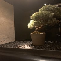 焼肉 銀座コバウ 特別室 - 
