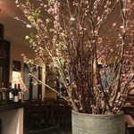 肉のながおか - 店内