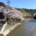 麺屋とと - 古都の桜良し！