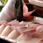 銀座さかなさま