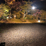 洋食 つばき - お庭もいい。