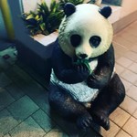 熊猫厨房 - 入口の招きパンダ