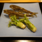 日本料理四四A2 - 稚鮎とタラの芽の天ぷら