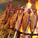 柳家 - 緋鳥鴨(ヒドリガモ)