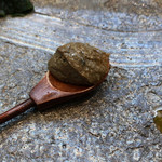 寿司栄 - 蟹味噌 抜群！